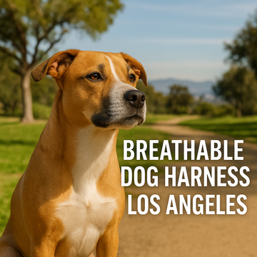 Breathable Dog Harness Los Angeles Stylish & Safe – Homapet