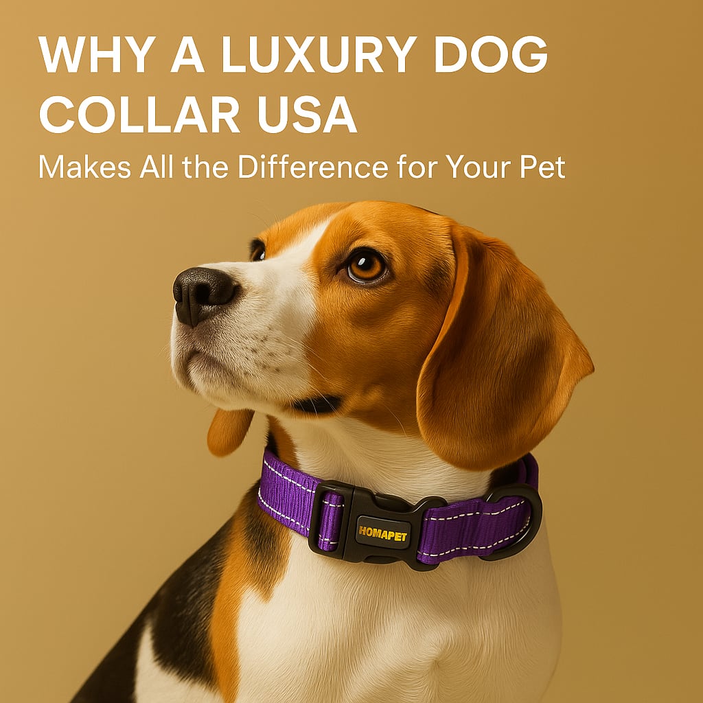 Why a Luxury Dog Collar USA Makes All the Difference for Your Pet