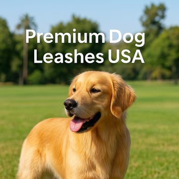 Why Pet Parents Love Premium Dog Leashes USA