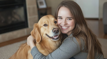 How to Create a Comfortable Living Space for Your Dog
