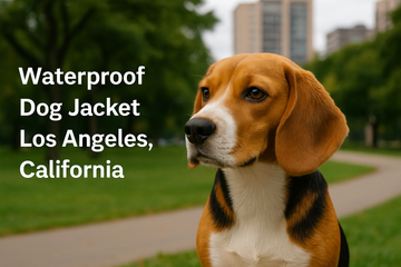 Keep Your Pup Cozy with a Waterproof Dog Jacket in Los Angeles, California