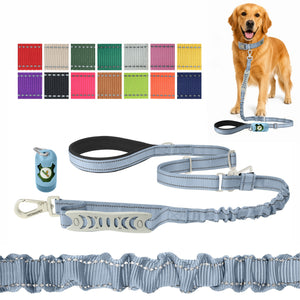 Baby Lavender Nylon Adjustable Bungee Dog Leash