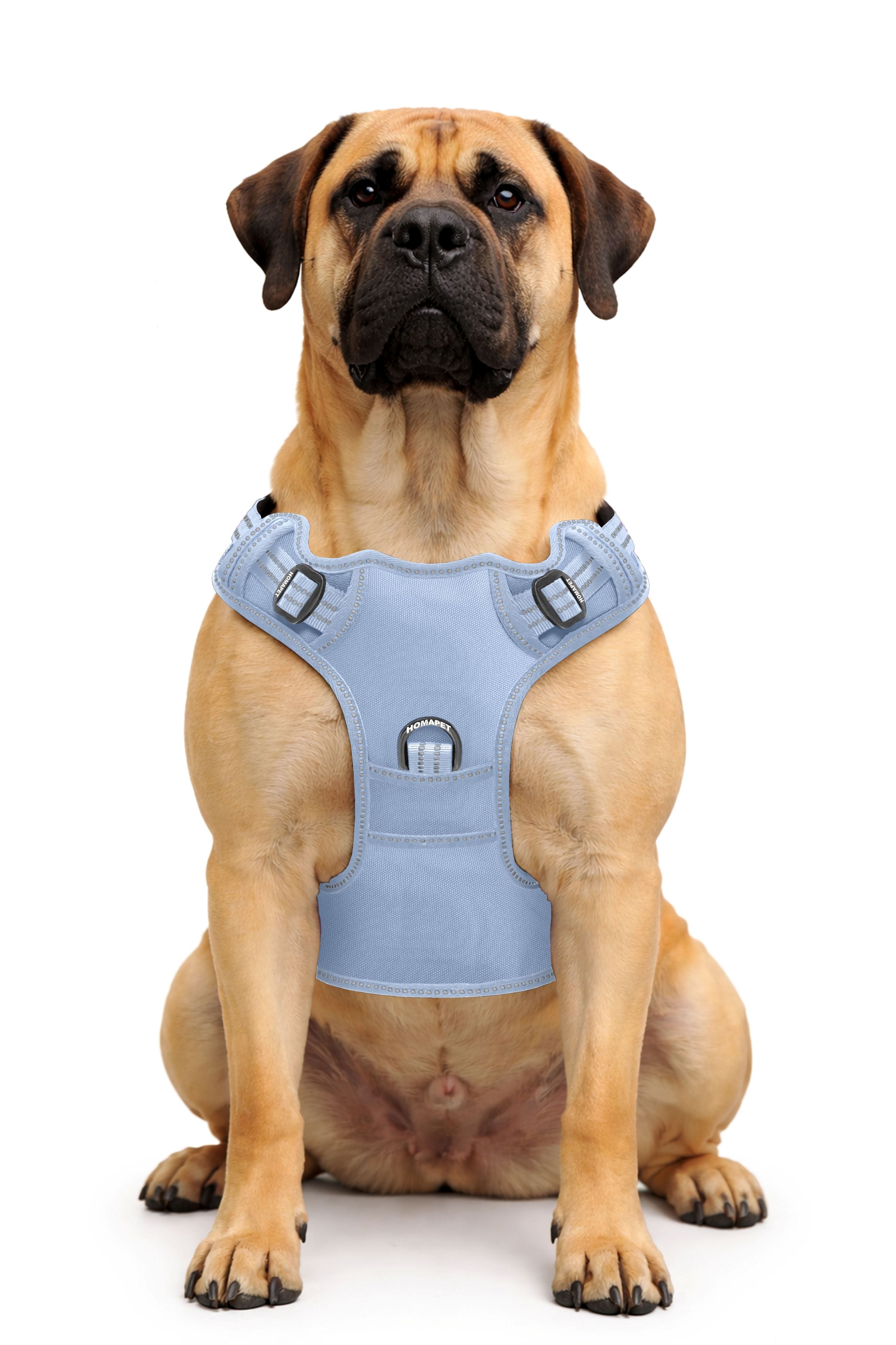 Baby Lavender No Pull Dog Harness