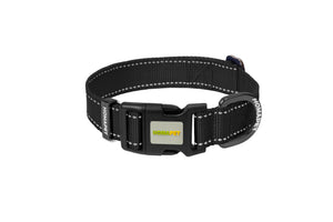 Black Nylon Dog Collar