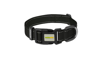 Black Nylon Dog Collar