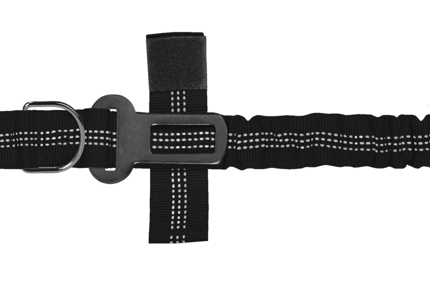 Black Nylon Full Bungee Dog Leash