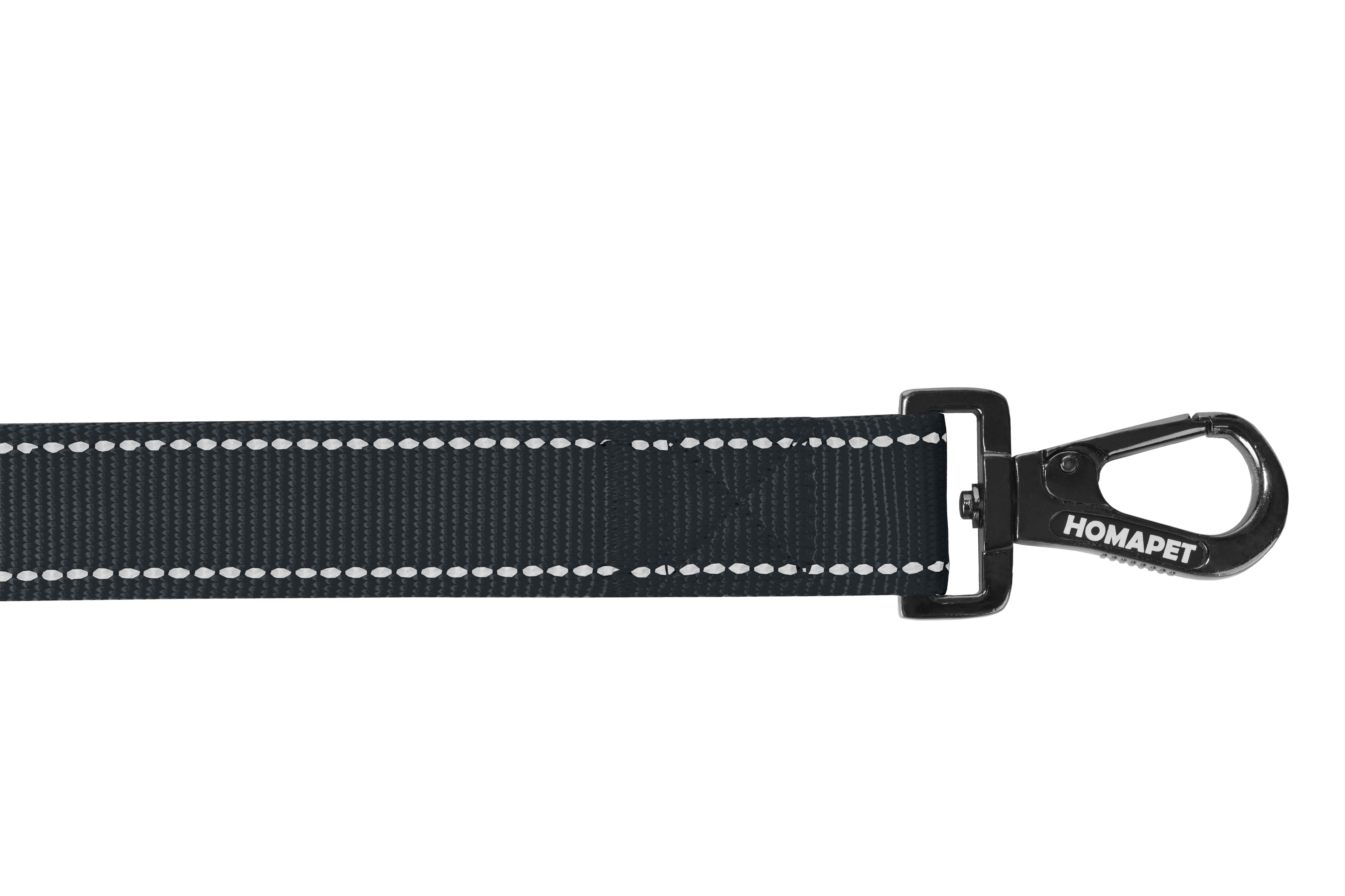 Black Nylon Dog Leash