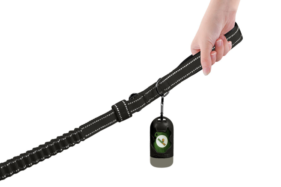 Black Polyester Full Bungee Dog Leash