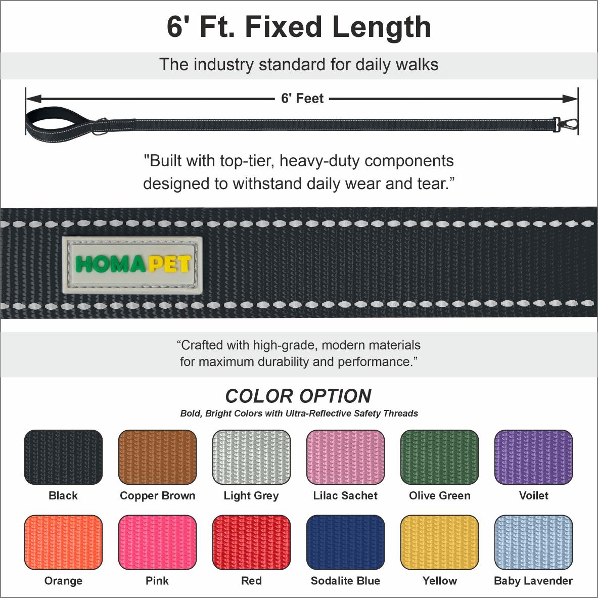 Black Nylon Dog Leash