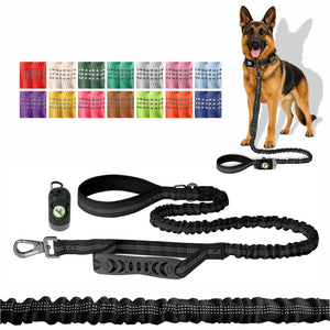 Black Nylon Full Bungee Dog Leash