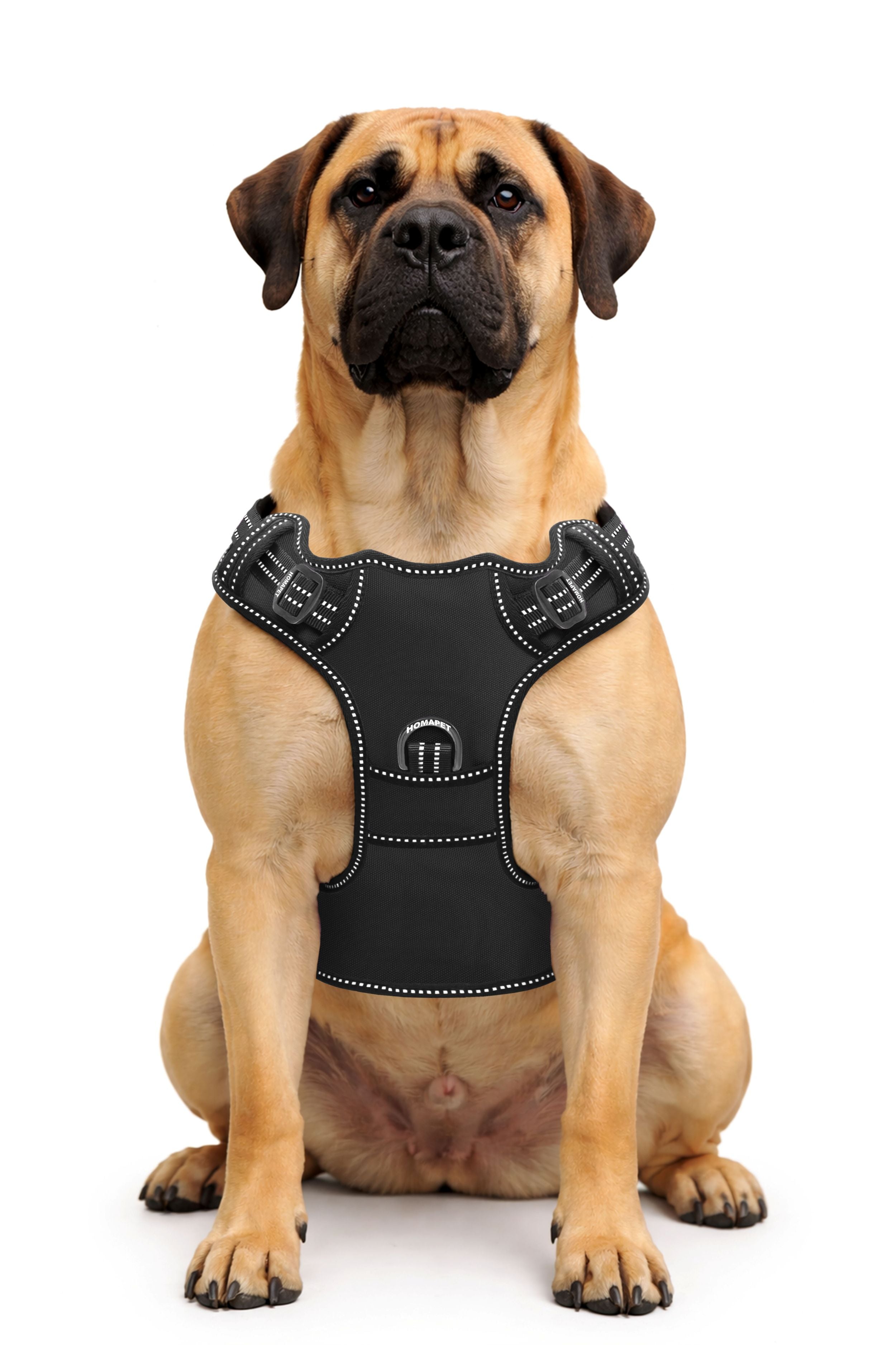 Black No Pull Dog Harness