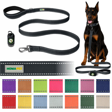 Black Nylon Dog Leash
