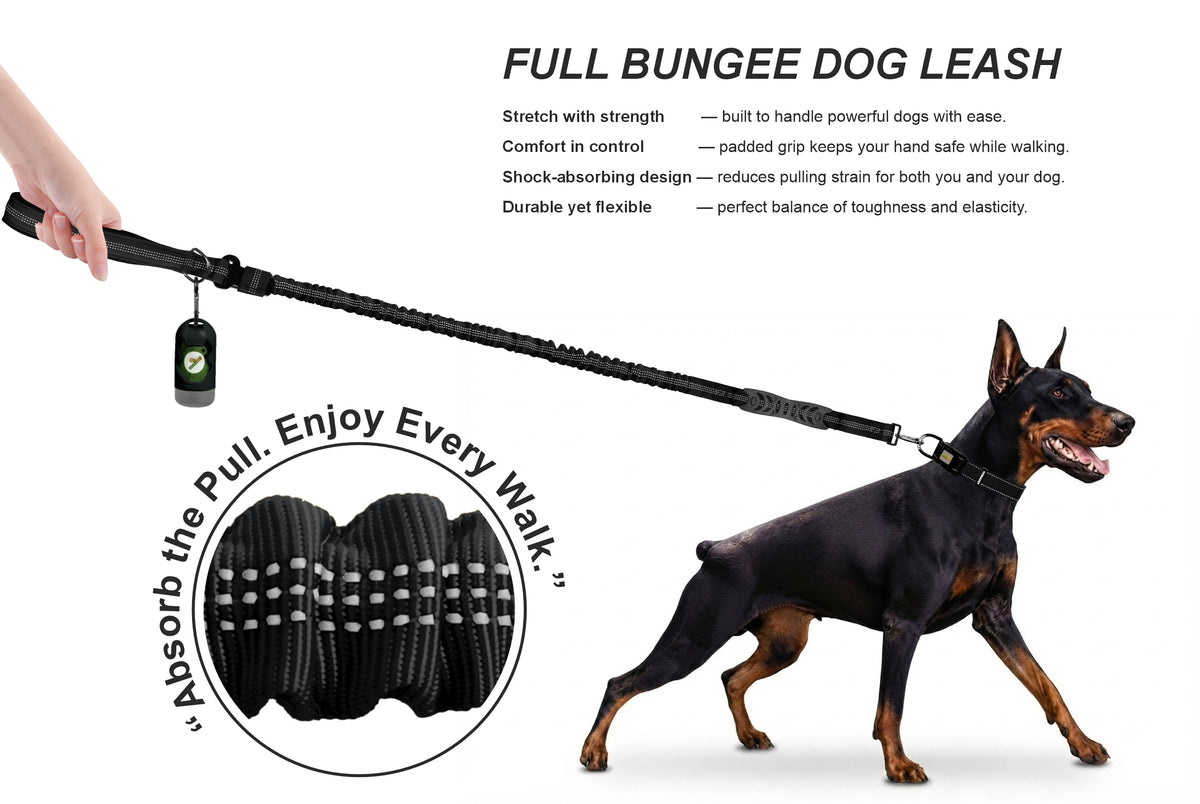 Black Nylon Full Bungee Dog Leash