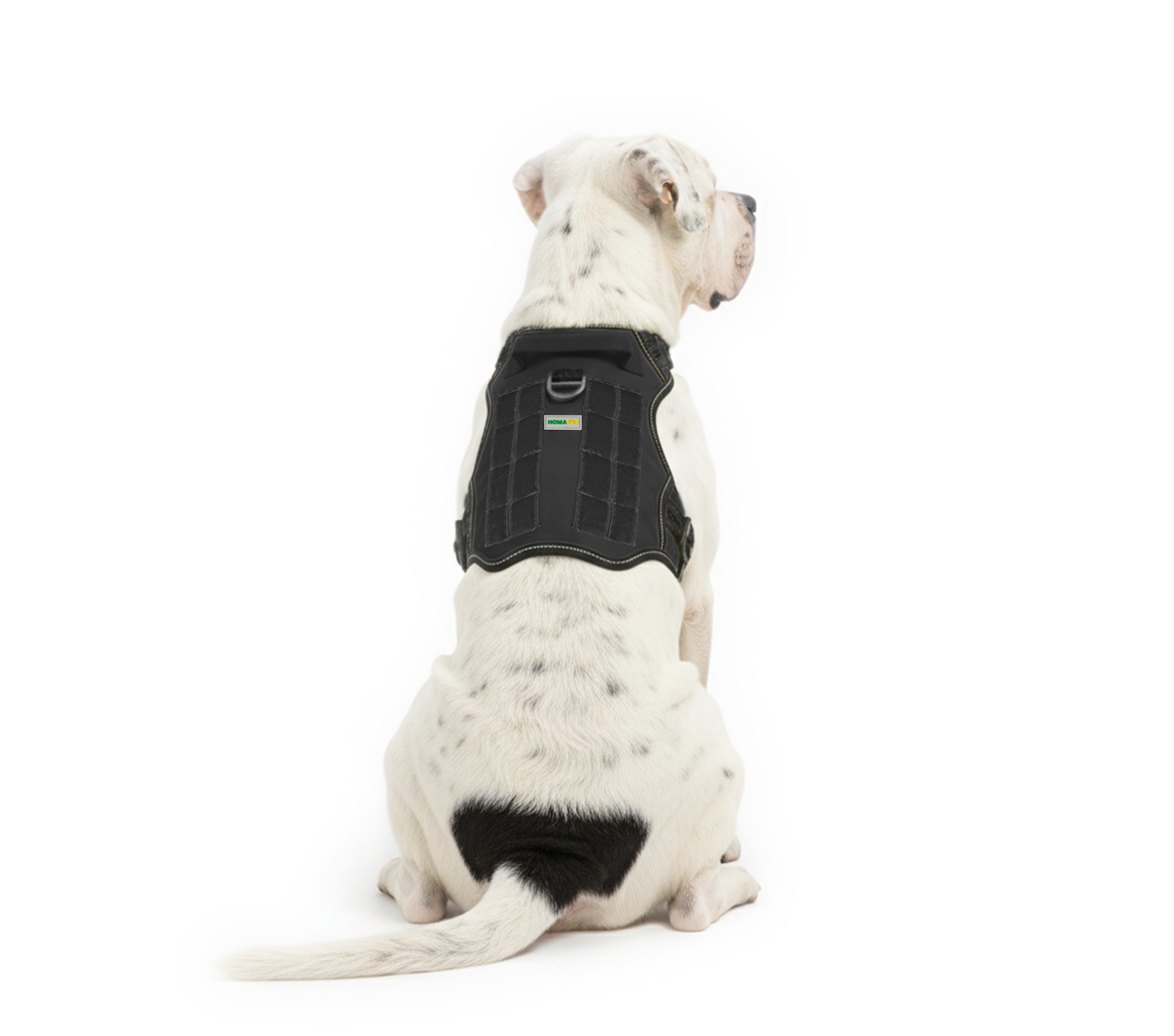 Black Tactical Dog Harness