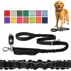 Black Nylon Adjustable Bungee Dog Leash