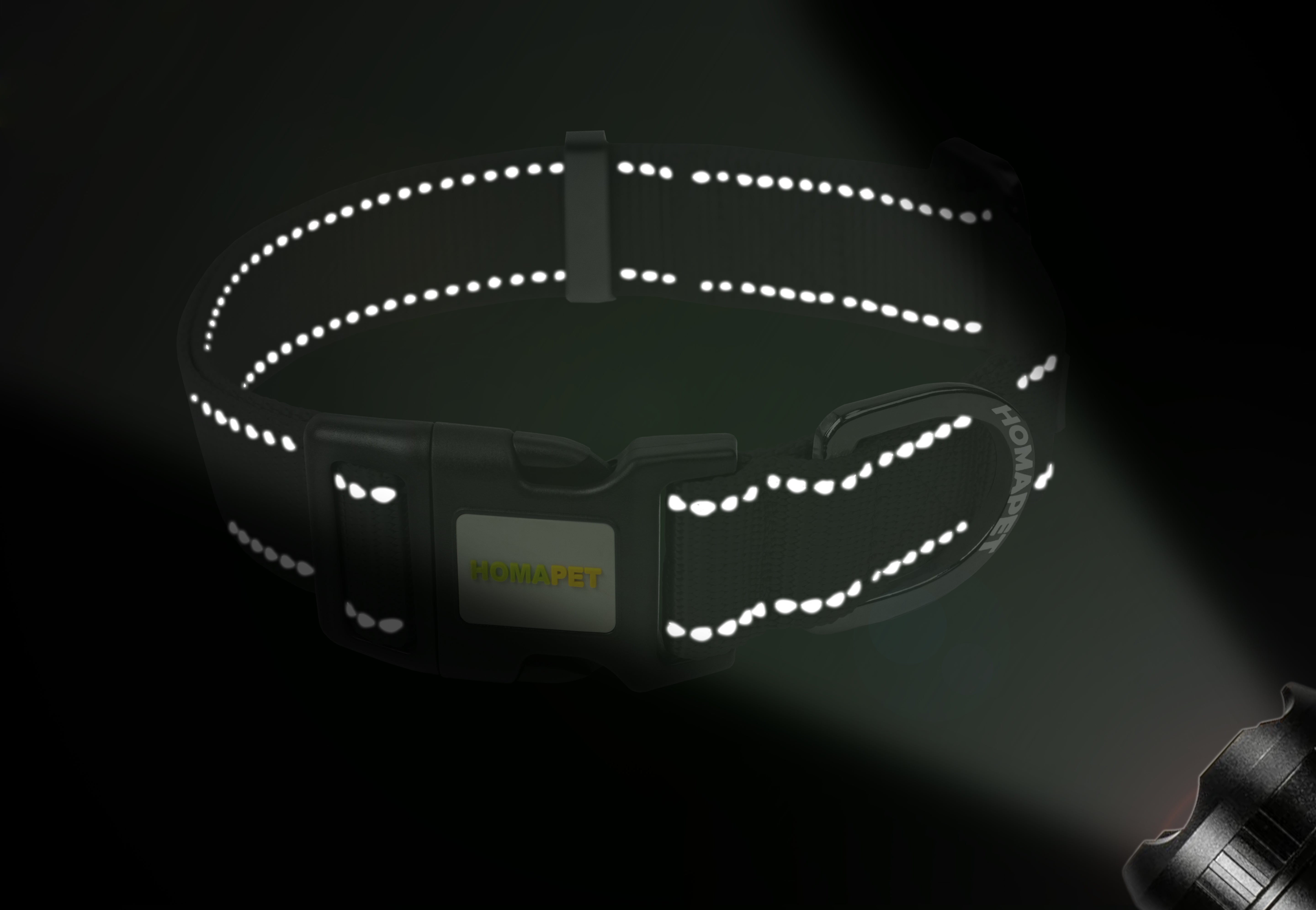 Black Nylon Dog Collar