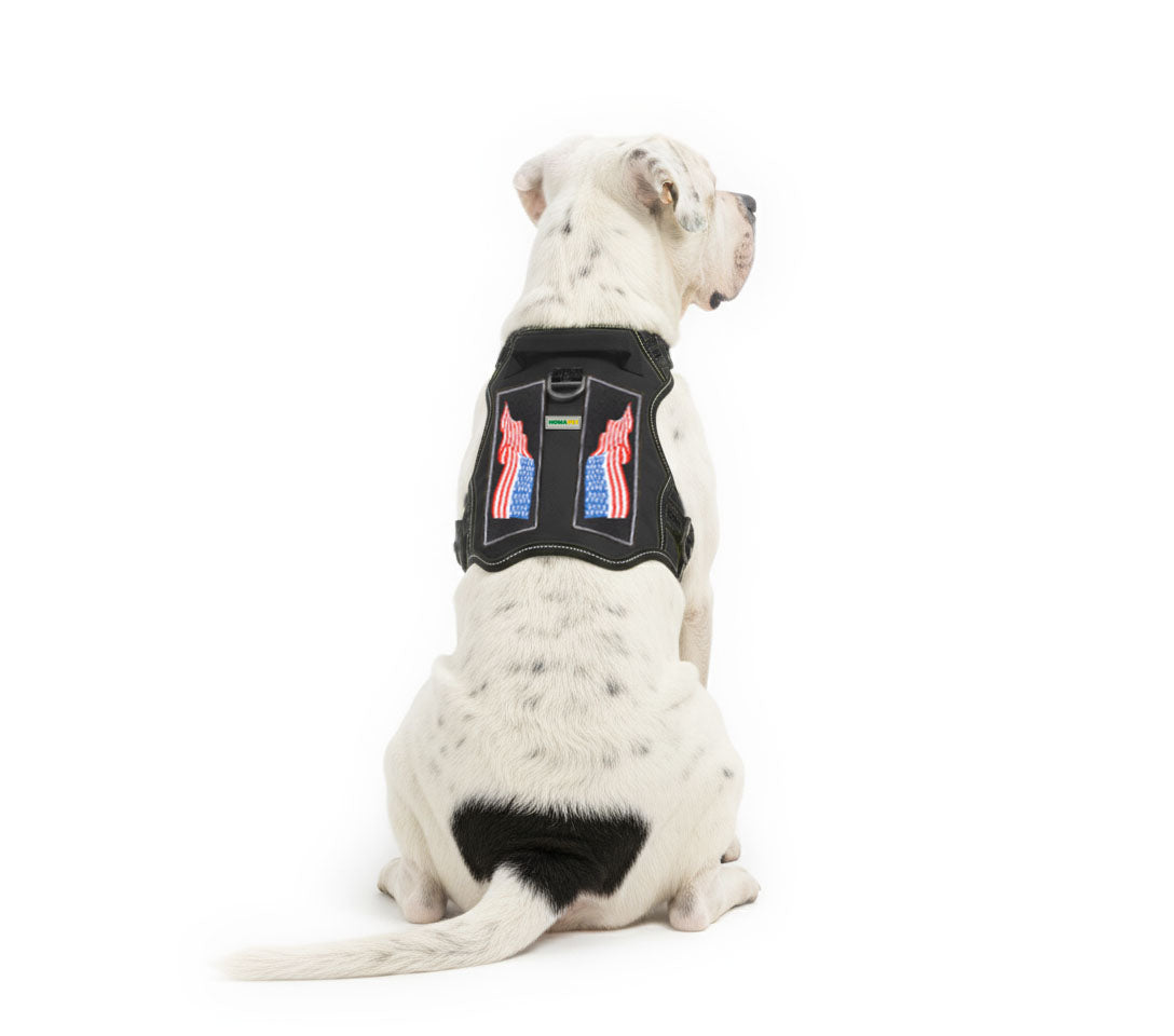 Black Tactical Dog Harness