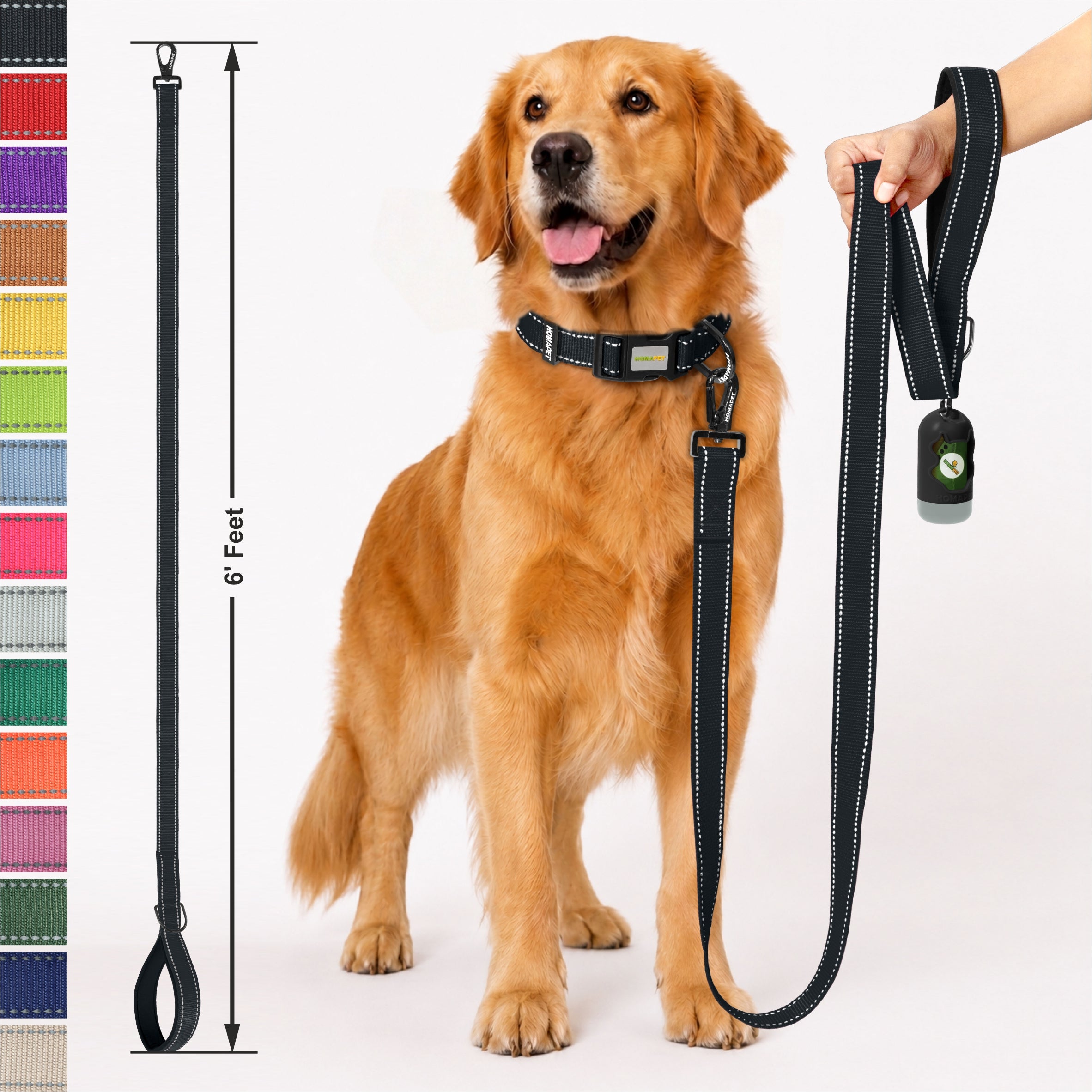 Black Nylon Dog Leash