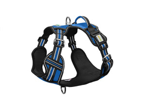 Royal Blue No Pull Dog Harness
