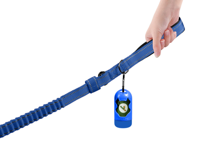 Sodalite Blue Polyester Full Bungee Dog Leash