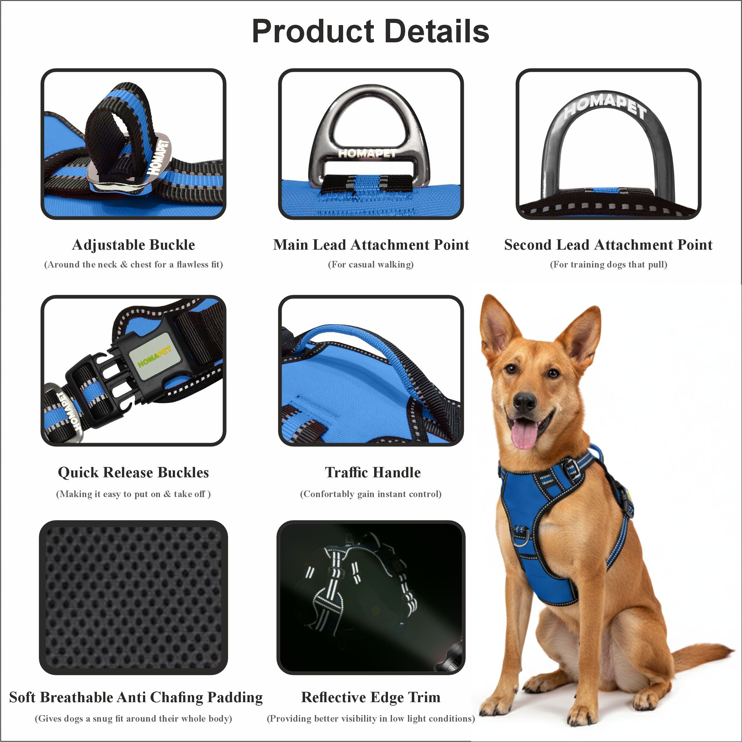 Royal Blue No Pull Dog Harness