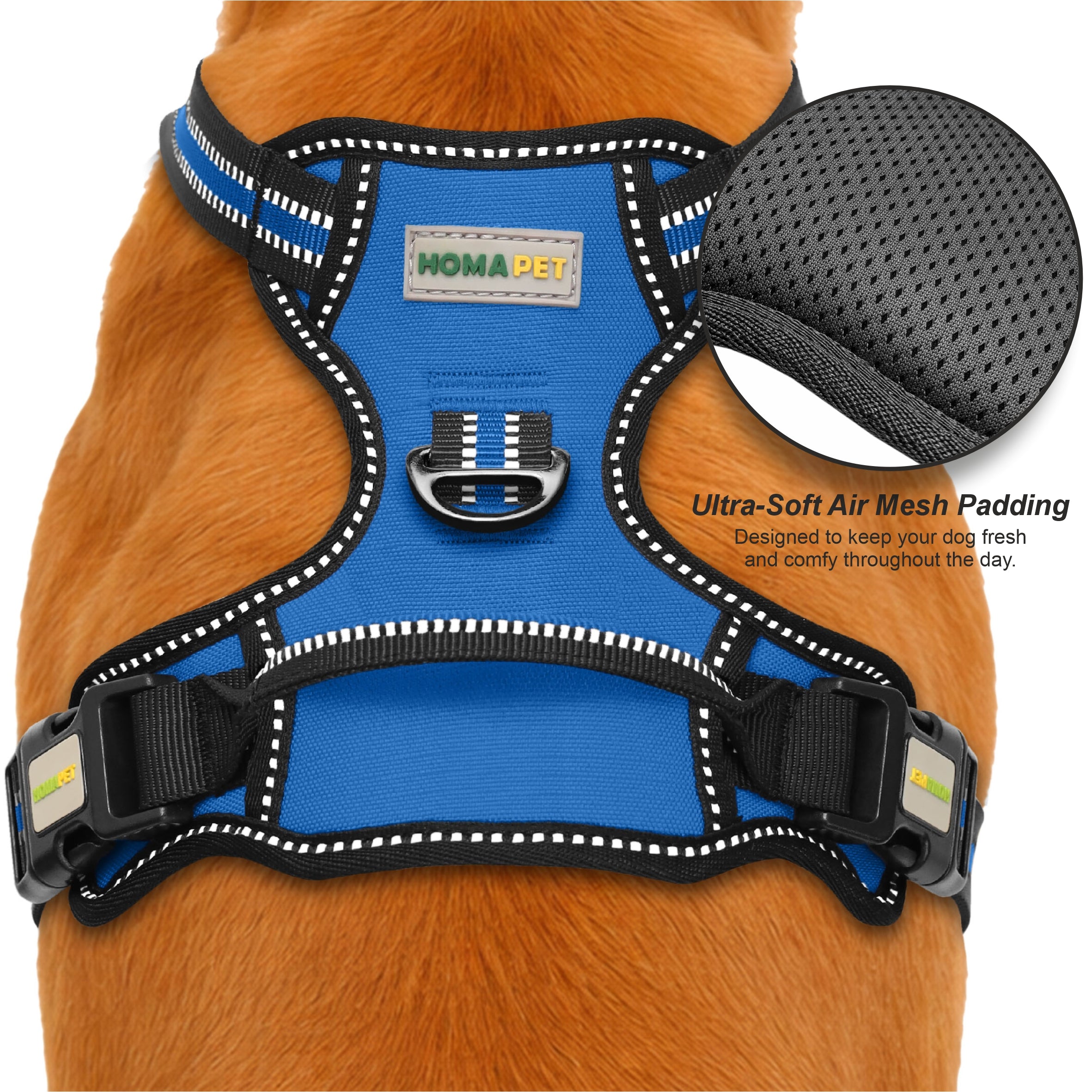 Royal Blue No Pull Dog Harness