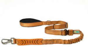 Copper Brown Nylon Adjustable Dog Leash