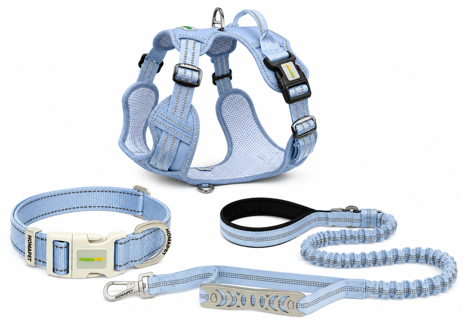 Everyday Adventure Bundle