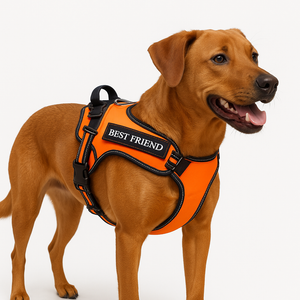 Tactical Dog Harness