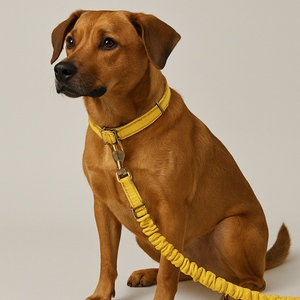 Bungee Dog Leash