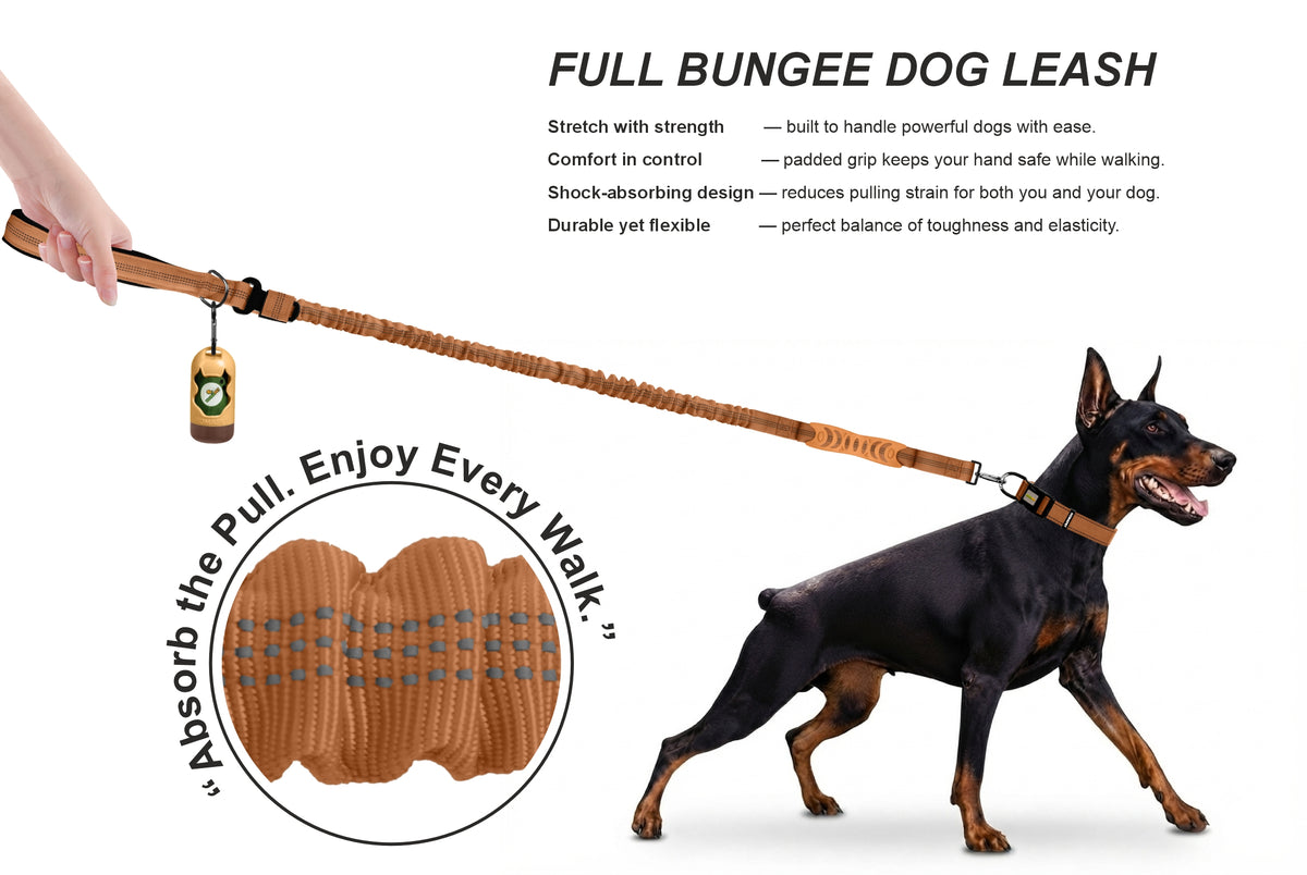 Copper Brown Nylon Full Bungee Dog Leash