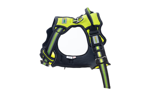 F S Green No Pull Dog Harness