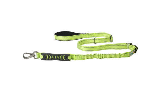 FS Green Nylon Adjustable Bungee Dog Leash