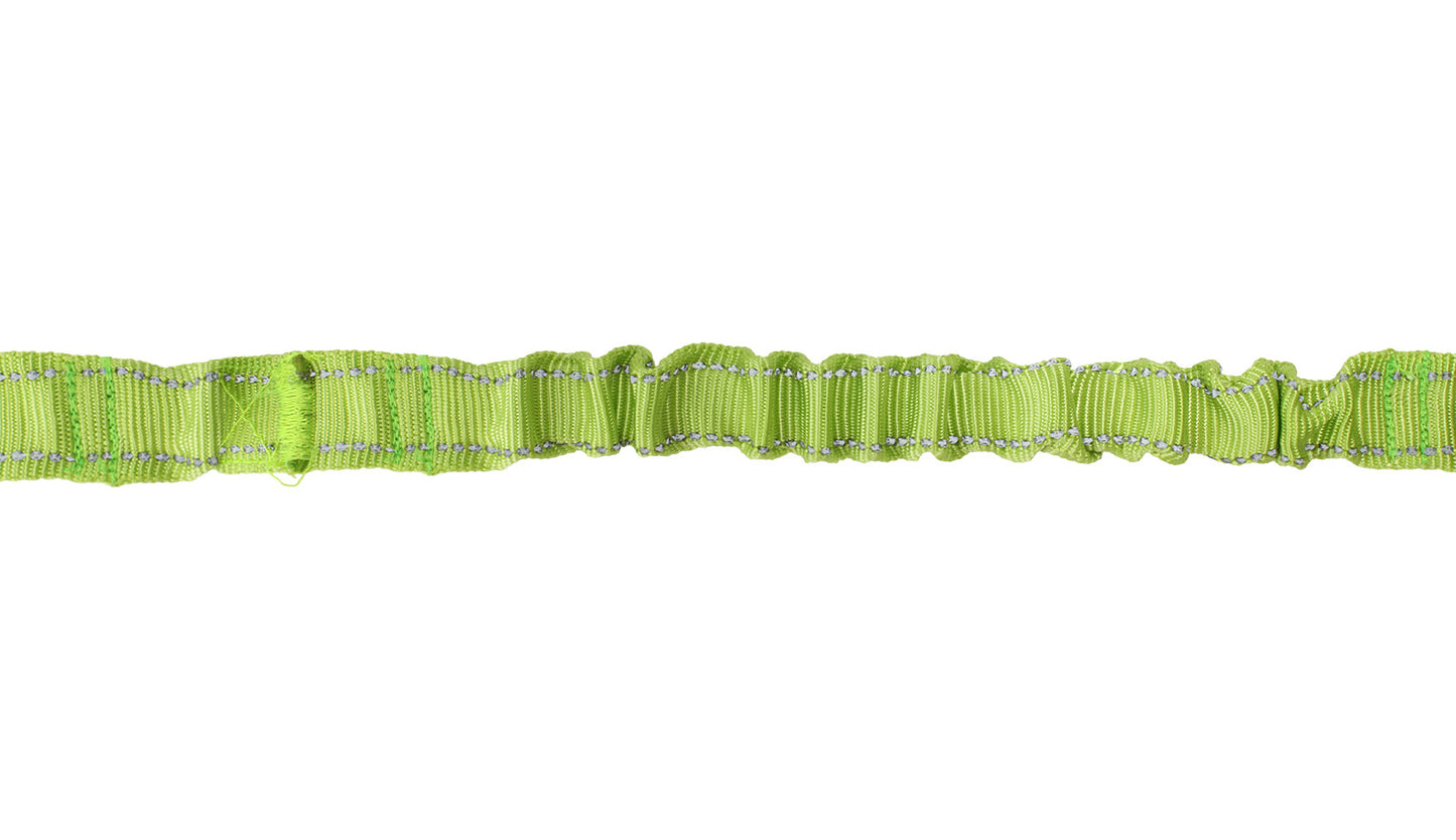 FS Green Nylon Adjustable Bungee Dog Leash