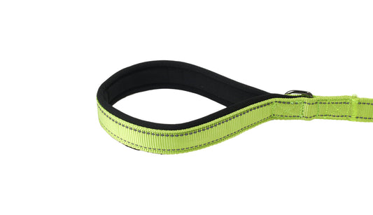 FS Green Nylon Adjustable Bungee Dog Leash