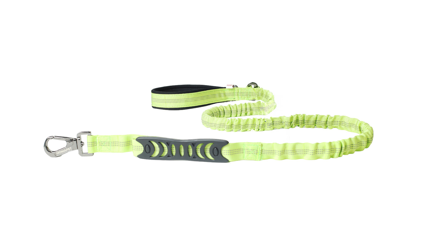 FS Green Nylon Full Bungee Dog Leash