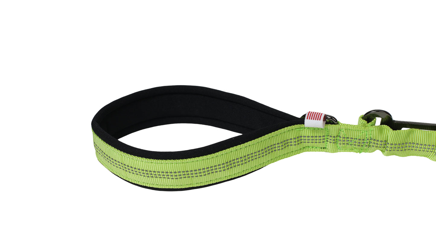 FS Green Nylon Full Bungee Dog Leash