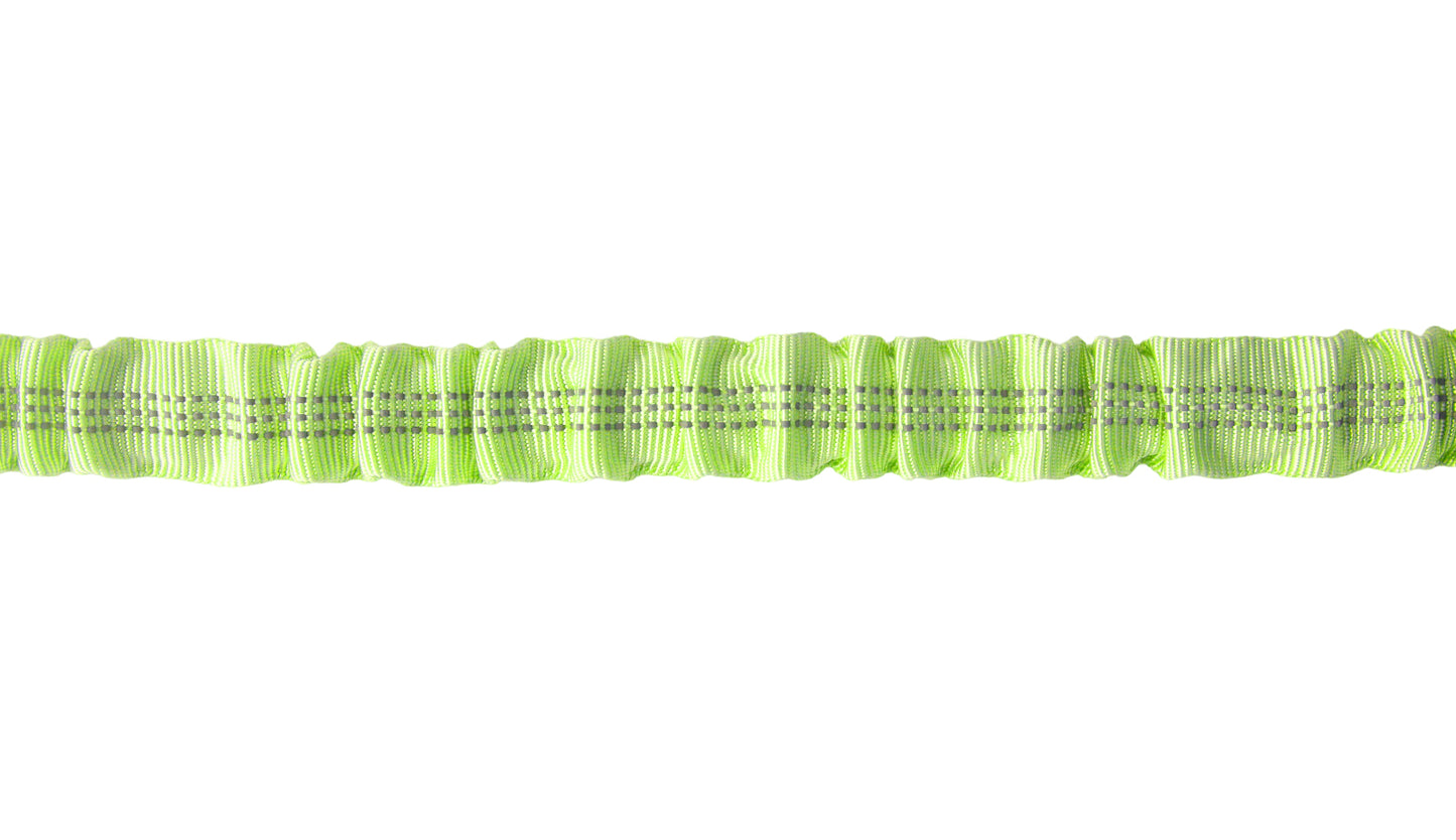 FS Green Nylon Full Bungee Dog Leash