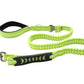 FS Green Polyester Full Bungee Dog Leash