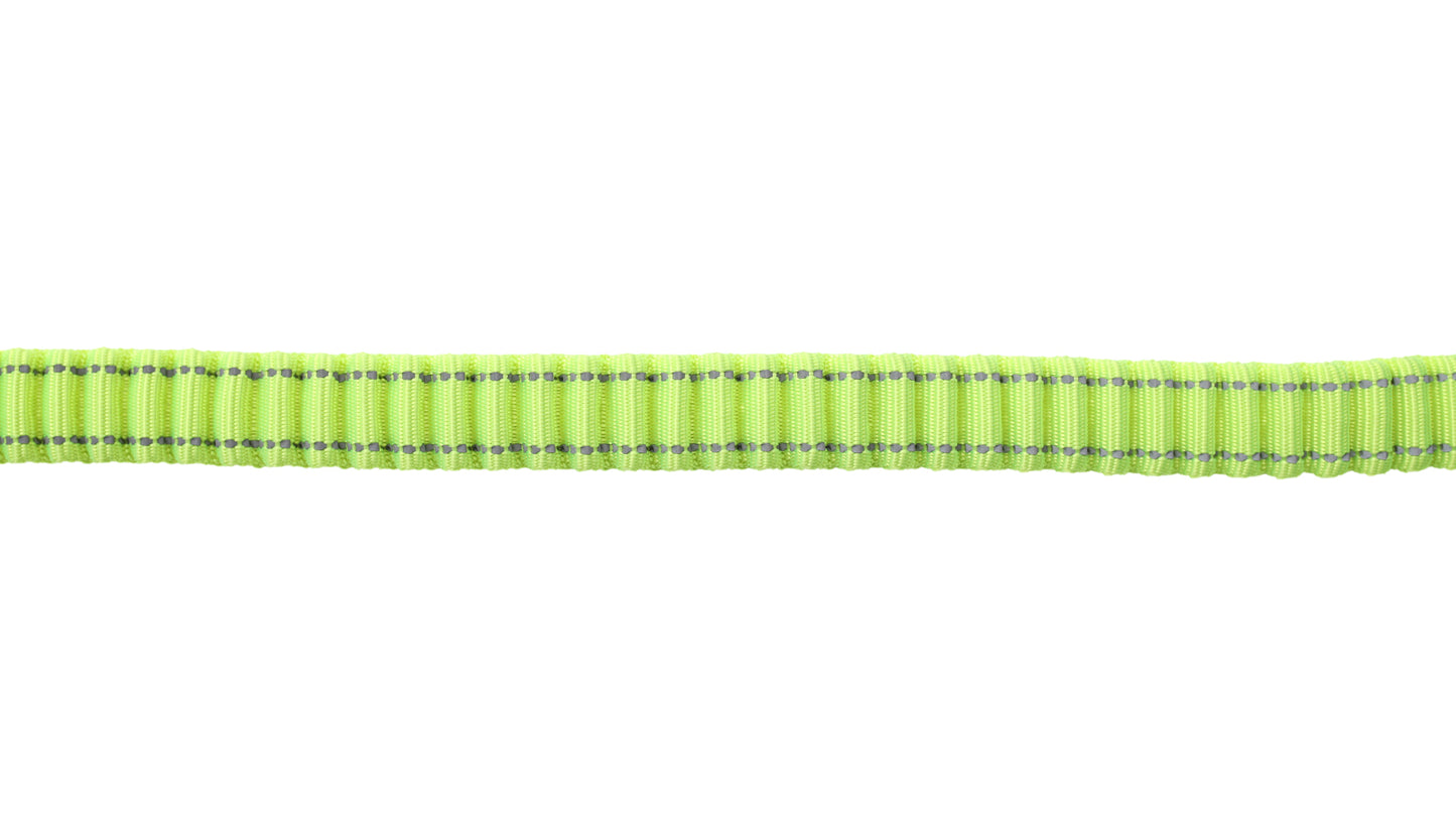 FS Green Polyester Full Bungee Dog Leash