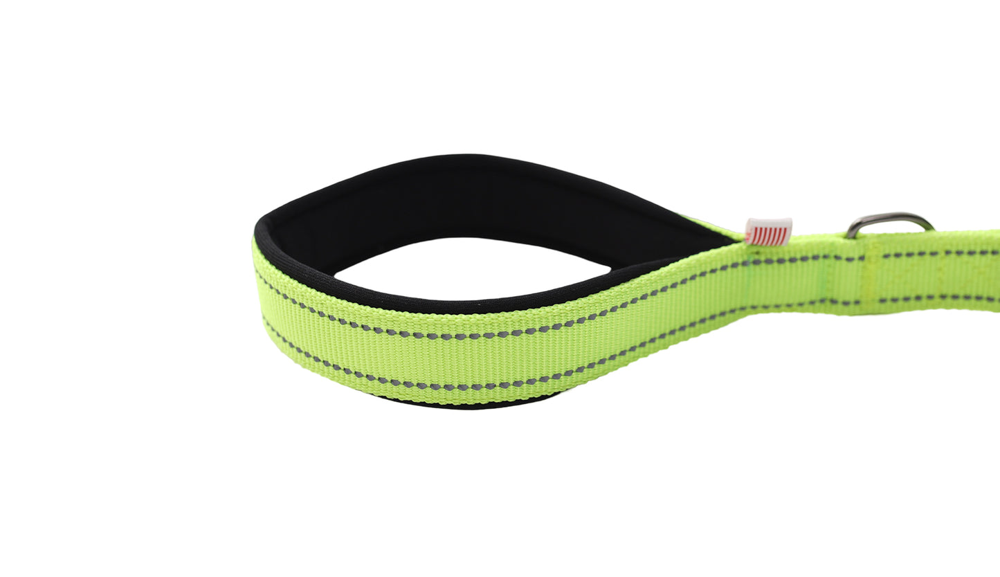 FS Green Polyester Full Bungee Dog Leash