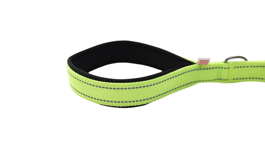 FS Green Polyester Full Bungee Dog Leash