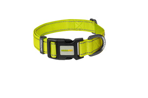 F S Green Nylon Dog Collar