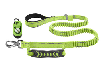 FS Green Polyester Full Bungee Dog Leash