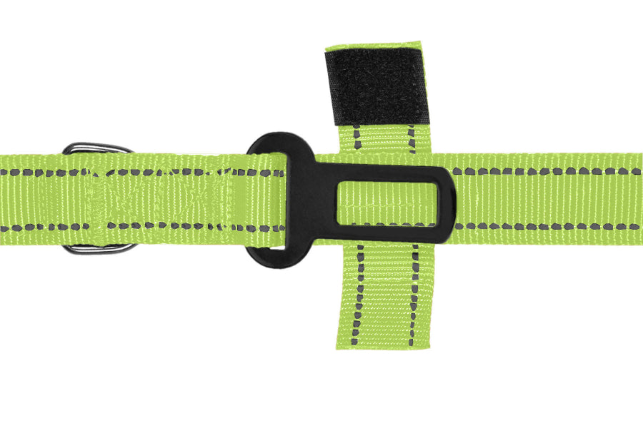 FS Green Polyester Full Bungee Dog Leash