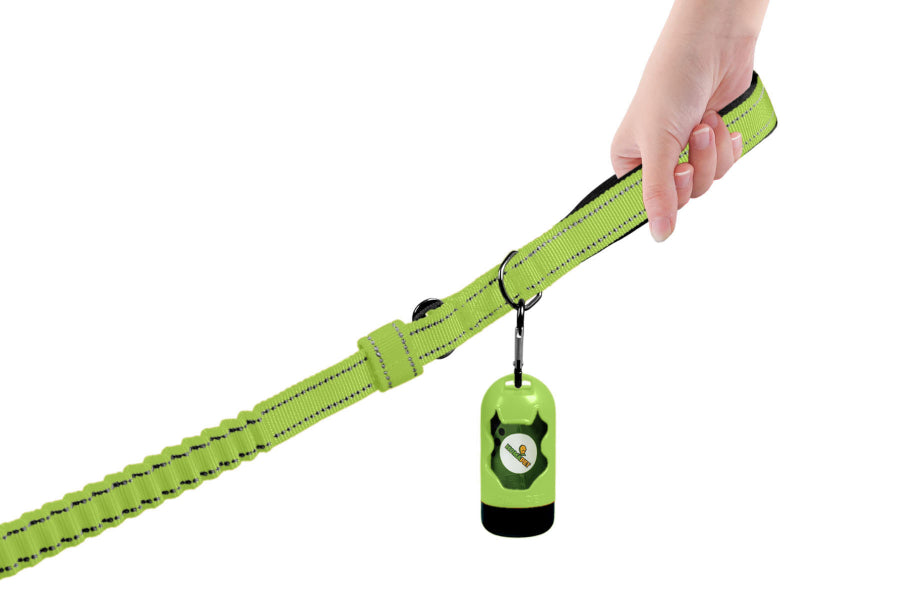 FS Green Polyester Full Bungee Dog Leash