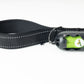 Black Flat Nylon Dog Leash