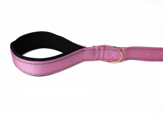 Lilac Sachet Flat Nylon Dog Leash