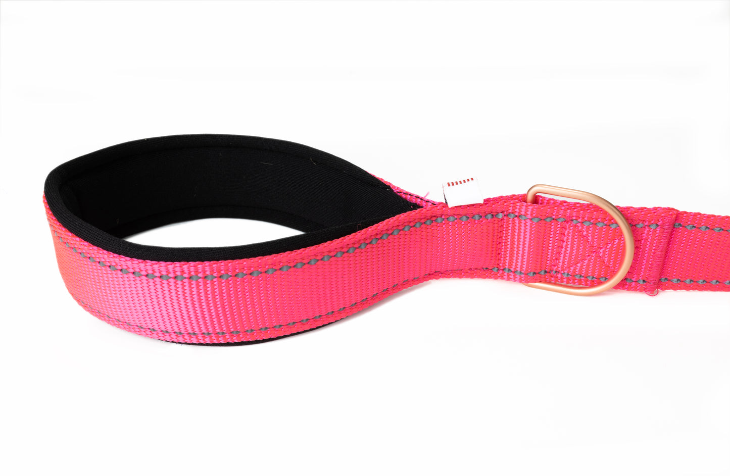 Pink Flat Nylon Dog Leash