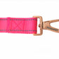 Pink Flat Nylon Dog Leash